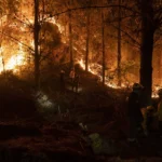 México brinda solidaridad y recursos a Chile en momentos de dolor y desafío luego de tragedia forestal que ha cobrado vidas humanas.