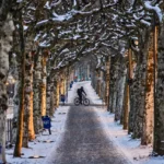 Tormenta Invernal Azota Europa: nieve y hielo imponen su autoridad y paralisan la vida diaria en miles de kilómetros cuadrados.