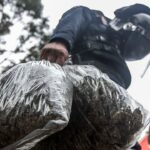 "Alianza sin Fronteras: Estados Unidos y México Unen Esfuerzos para Combatir con Mayor Eficacia la Epidemia del Narcotráfico"